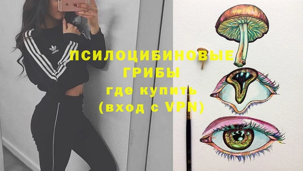 mdpv Белокуриха