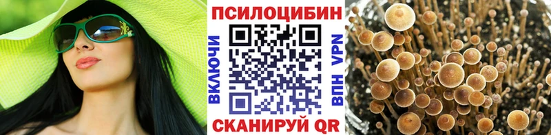 Псилоцибиновые грибы мицелий  даркнет сайт  kraken   Щигры 